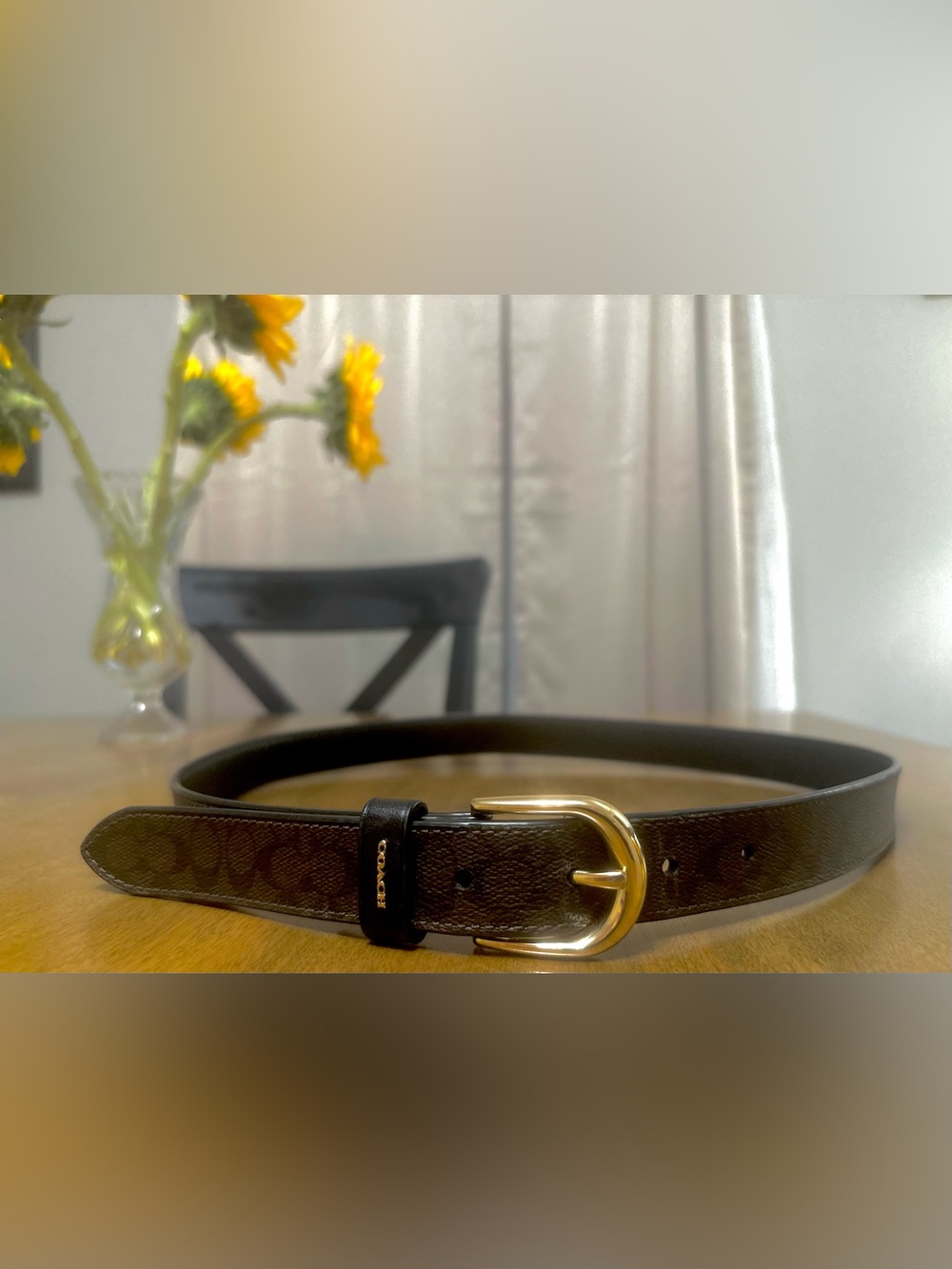 Authentic Coach Classic Belt In Signature Canvas ( Brass/Chestnut Black) Size M